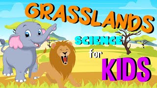 What are Grasslands | Science for Kids
