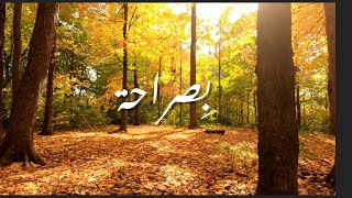 Pamela Antoun - bi saraha | بصراحة - باميلا أنطون #lyrics