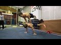 New Year training WORKOUT, PARKOUR