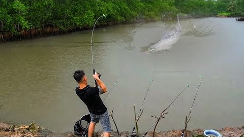 Bo cá Khủng sông tự nhiên - Test Bài Mồi Gạch Lace