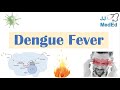 Dengue fever  pathophysiology symptoms diagnosis  treatment