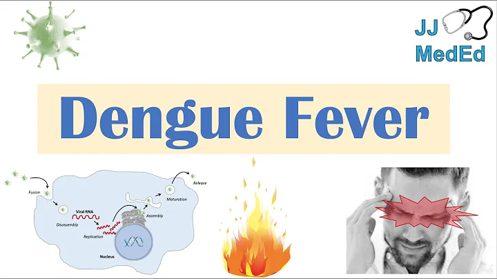 Dengue Fever | Pathophysiology, Symptoms, Diagnosis & Treatment - DayDayNews