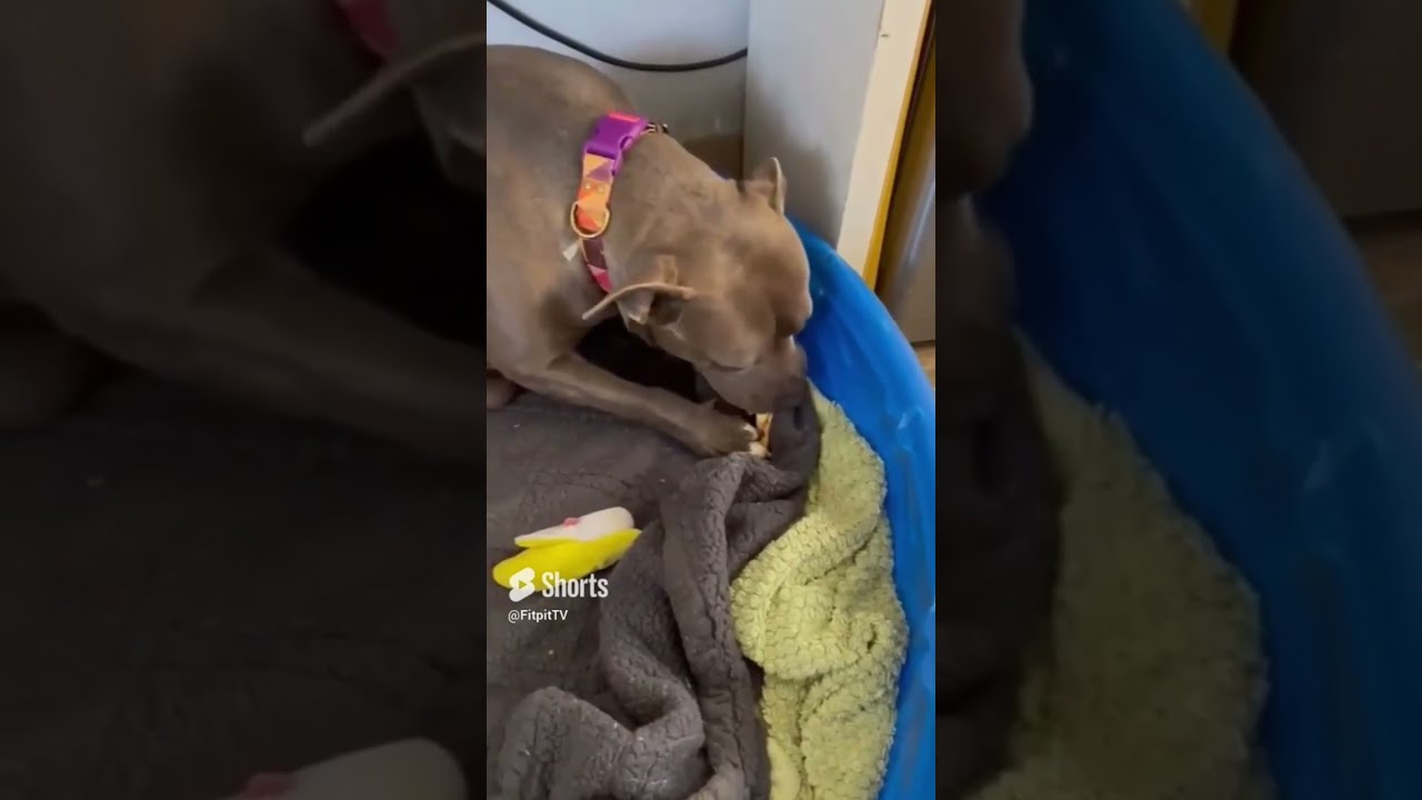 Abandoned, exspecting, she needs to be rescued, is there an happy ending?