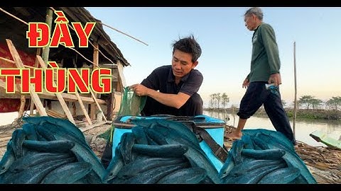 TẬP.151.bữa nay hai cha con bão cá nữa rồi/cắm câu mùa nước rút đồng campuchia