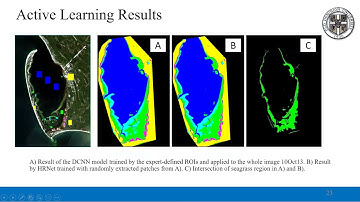 An Active Learning Model for Seagrass Detection in Remote Sensing Imagery | presented by Emily Wu