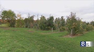 Cornell scientists are building a stronger apple