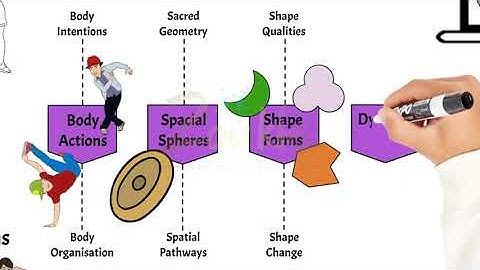 Zoukies | Embodied Dance Explained