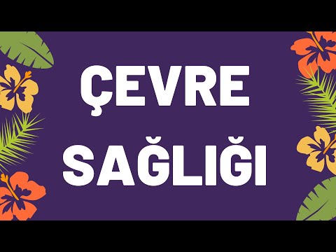 Video: Çevre sağlığı uzmanı ne iş yapar?