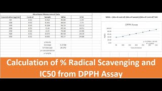 Radical Scavenging Activity Measurement and IC50 Calculation DPPH Assay in Excel