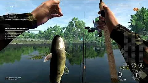 Ночной фарм,заходи)Фарм до 12к. Fishing Planet