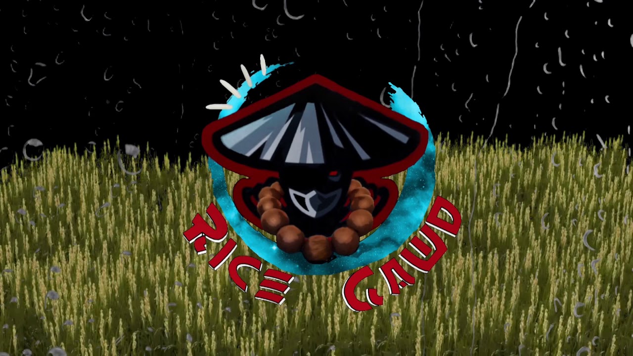 NR Paintball new field! YouTube