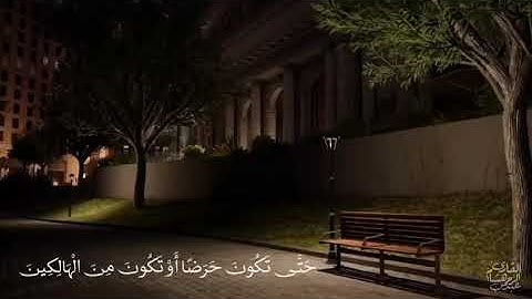 ما تيسر من سورة يوسف.