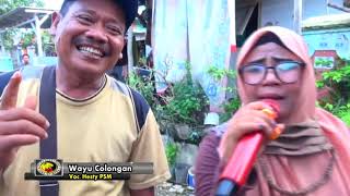 WAYU COLONGAN || VOC. HESTY PSM || PUTRA SURTI MUDA || MINGGU 20 DESEMBER 2020 || PLAWANGAN