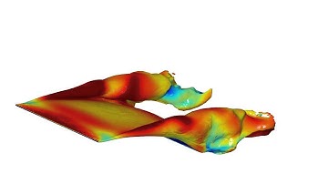 Membrane (3D) Fluid-Structure Interaction