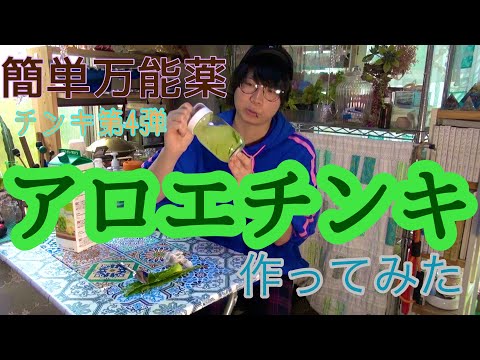 【簡単万能薬,第4弾】アロエチンキ作ってみた【効能解説】