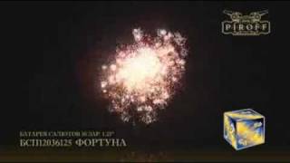 БСП12036125 Фортуна