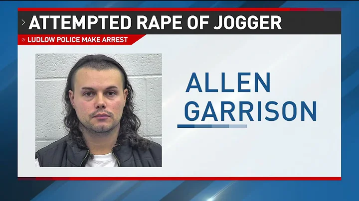 Man arrested after allegedly attacking morning jog...