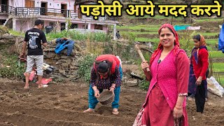 प्रीति के खेत में लगा दिए आलू || Pahadi Lifestyle Vlog || Priyanka Yogi Tiwari ||