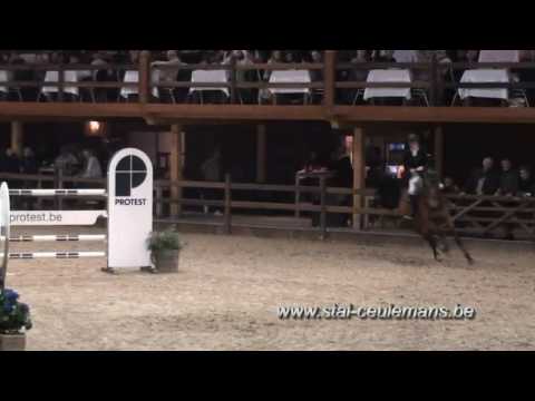 Jericho Dwerse Hagen, Thibeau Spits, Lier CSI** 1.40m, 18-02-2017
