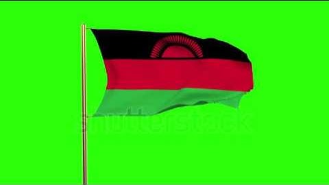 Malawi flag waving in the wind. Green screen, alpha matte. Loopable animation Stock video by