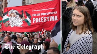 Greta Thunberg Joins Pro-Palestine Protest Outside Eurovision Song Contest