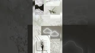 Top 5 aesthetic wallpapers in white Top 5 aesthetic wallpapers in white