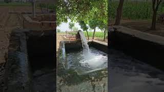 Deep Tube well Water #shorts #short #shortvideo #shortsvideo #shortsfeed #shortsviral #ai #aivideo
