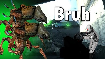 Entropy  : Zero 2 Xen grenades be like