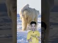 افضل الأمهات فى عالم الحيوان تفتكر بتعمل اى! 😱🤔