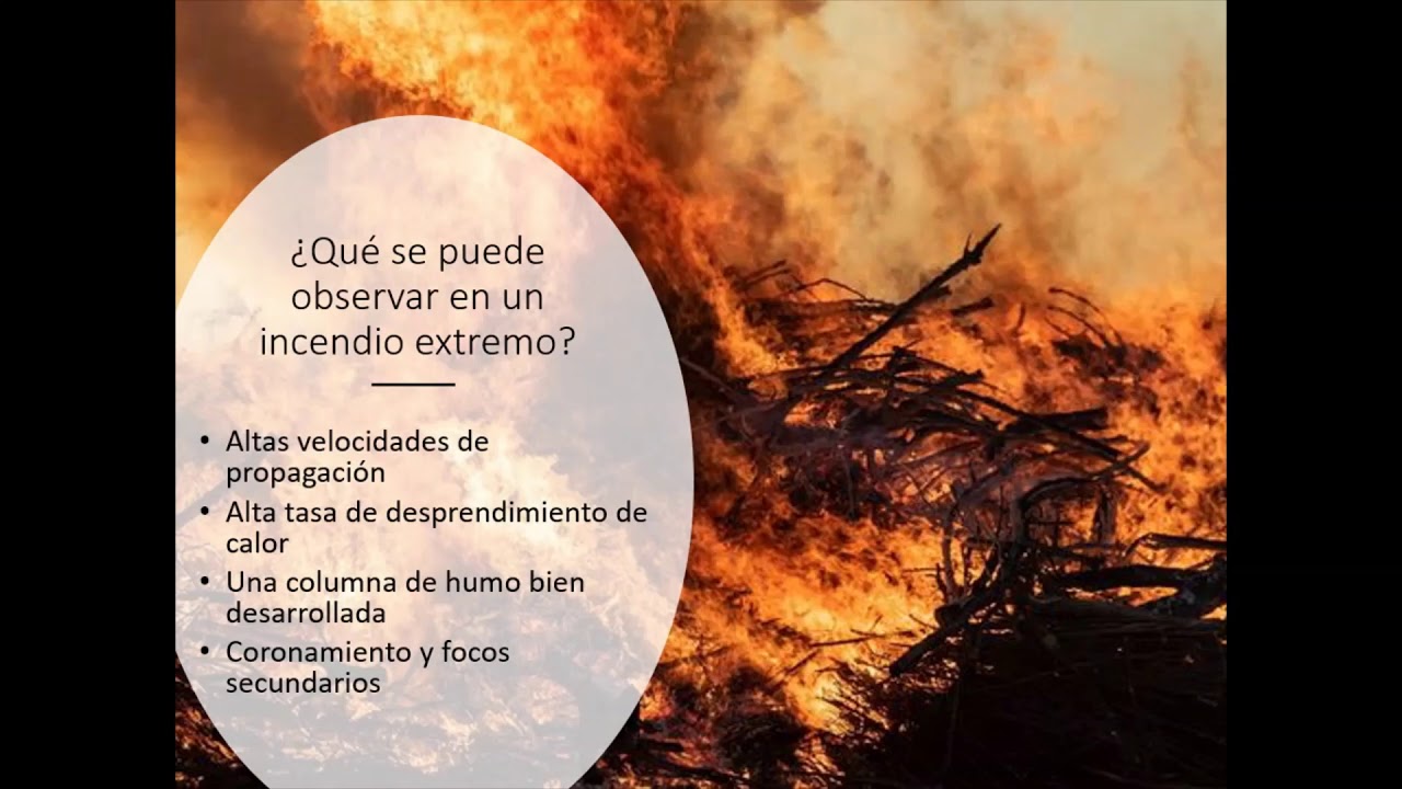 Manejo de fuego