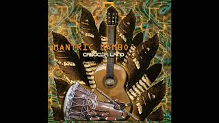Video thumbnail of "Mantric Mambo - A Las Estrellas"