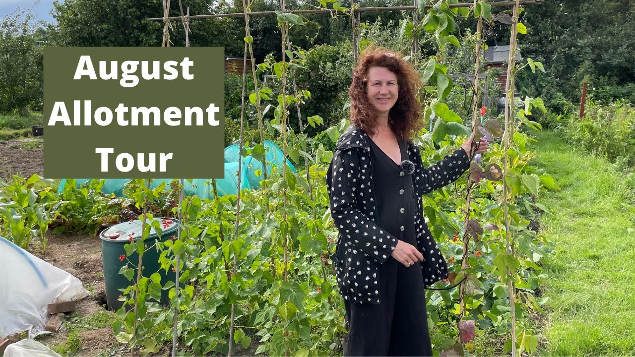 August Allotment Tour Allotment Gardening UK 2021 YouTube