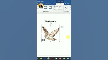 Flip Image in word #shorts
