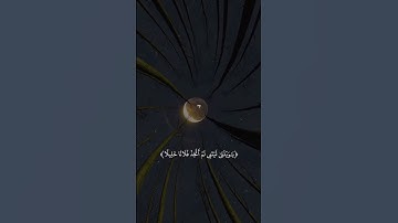(ويوم يعض الظالم على يديه) القارئ إسلام صبحي صوت تقشعر له الأبدان 😴🤍