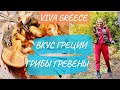 Вкус Греции  • Грибы Гревены • Греция