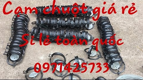 Mẫu cạm kiềng 9 cm chuyên đánh chuột  giá rẻ sỉ lẻ ship cod toàn quốc