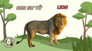 Song ngữ Việt Anh | Các loài động vật ăn thịt | P1 | Gạo Smart Kids - Cùng Bé Thông Minh