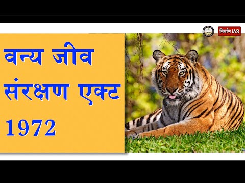 वन्य जीव संरक्षण एक्ट, 1972 || Audio Article || Nirman IAS