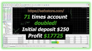 Pips Sure EA MT4 Review | Verified Profit Performance | FX STORE EA