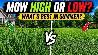Should You Mow Your Lawn lawn HIGH or LOW This Summer?