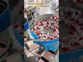 3-Head Gear High Counting & Packing Machine