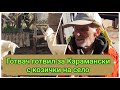Майстор готвач готвил за Карамански отглежда кози на село Майстор готвач готвил за Карамански отглежда кози на село