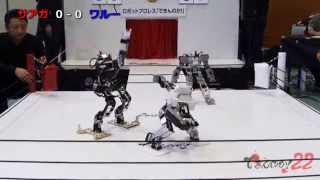 Robot Pro-Wrestling Dekinnoka22 -Saaga Vs Waroo-