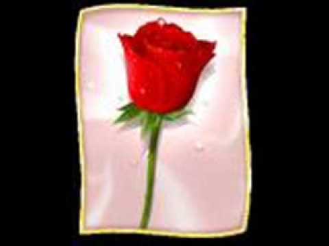 انتي كل شيء انتي