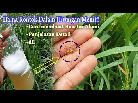 Mushukni yalayotgan erkaklar fotosuratlari