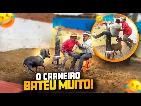CARNEIRO CHICO ARREBENTOU GALO CEGO E BETO TIZIU PARTE 2 GALO CEGO 
