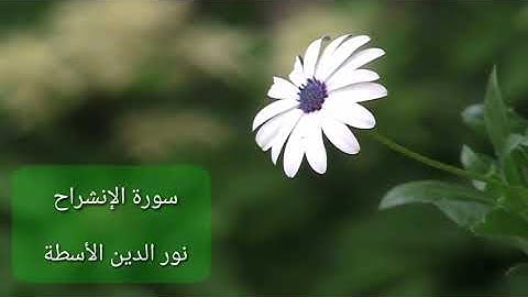 سورة الشرح - نور الدين الأسطة 🌹