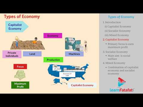 Video: Different types of economy: basic information