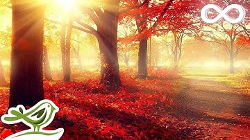 Thumbnail of Beautiful Romantic Music: Relaxing Music, Piano Music, Violin Music, Guitar Music, Sleep Music ★101