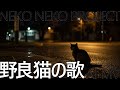 【AI MV】野良猫の歌